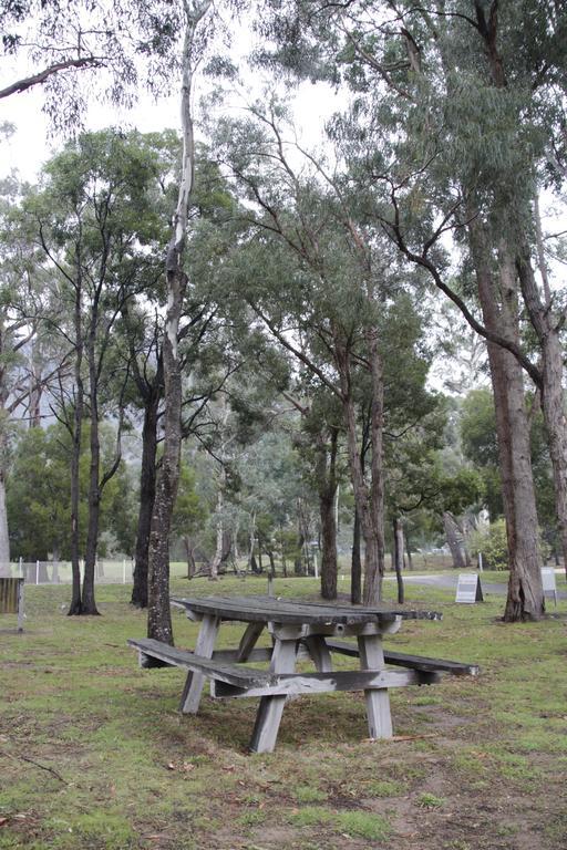 Villa Dacelo Halls Gap Esterno foto